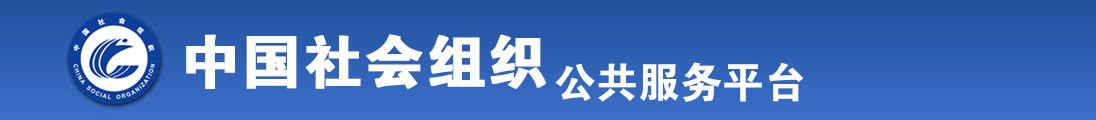 插b插到爽视频全国社会组织信息查询